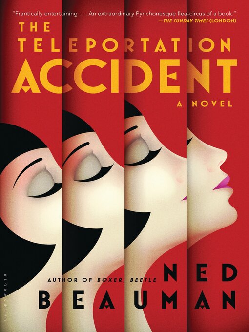 Title details for The Teleportation Accident by Ned Beauman - Wait list